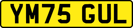 YM75GUL