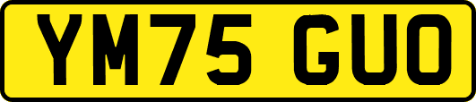 YM75GUO