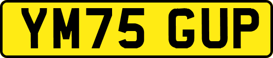 YM75GUP