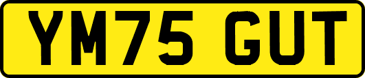 YM75GUT