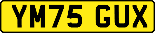 YM75GUX