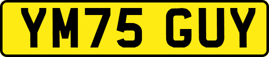 YM75GUY