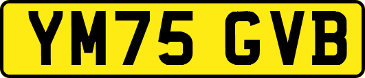 YM75GVB