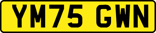 YM75GWN