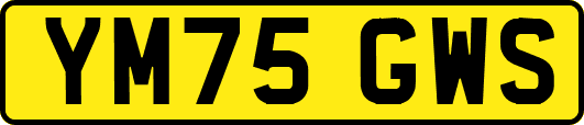 YM75GWS