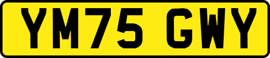 YM75GWY