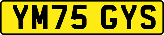 YM75GYS