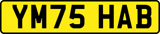 YM75HAB