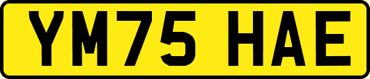 YM75HAE