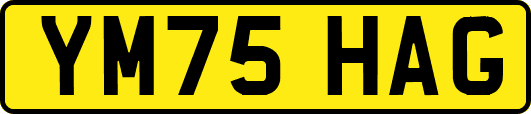 YM75HAG