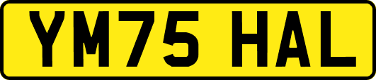 YM75HAL