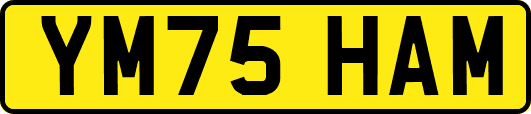 YM75HAM
