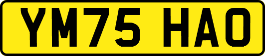 YM75HAO