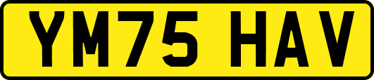 YM75HAV