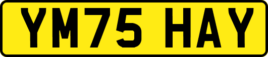 YM75HAY