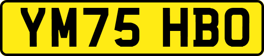 YM75HBO