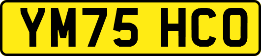 YM75HCO