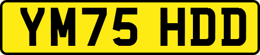 YM75HDD