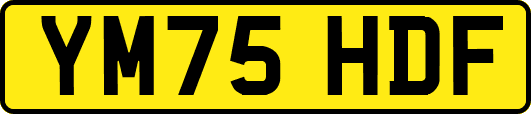 YM75HDF