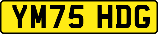 YM75HDG