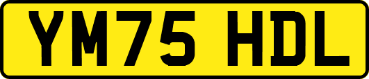 YM75HDL
