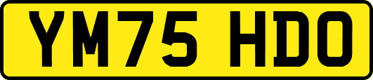 YM75HDO