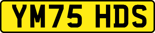 YM75HDS