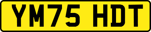 YM75HDT
