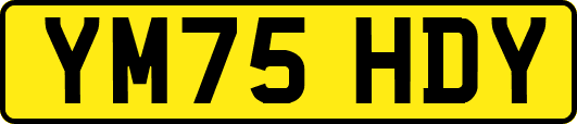 YM75HDY