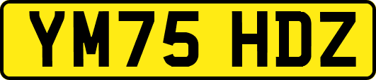 YM75HDZ