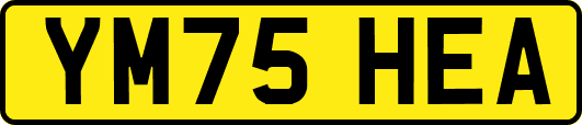 YM75HEA