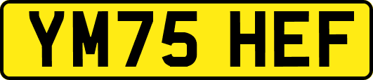 YM75HEF