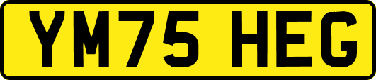 YM75HEG