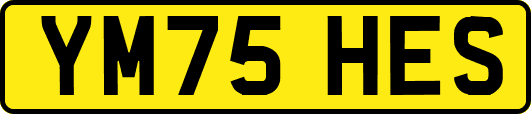YM75HES