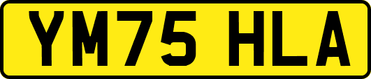 YM75HLA