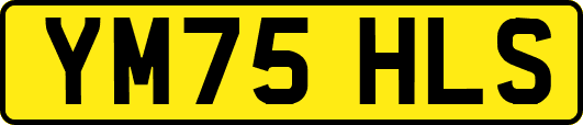 YM75HLS