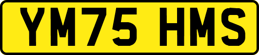 YM75HMS