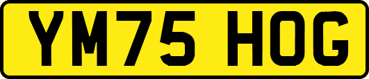 YM75HOG