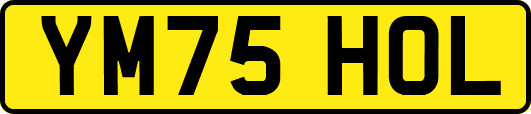 YM75HOL