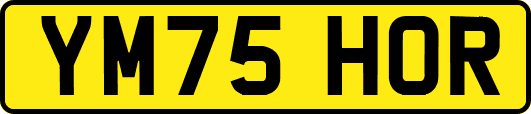 YM75HOR