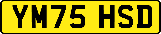 YM75HSD