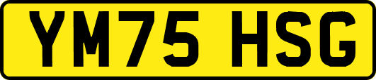 YM75HSG
