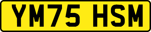 YM75HSM