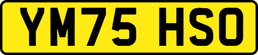 YM75HSO