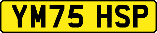 YM75HSP