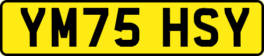 YM75HSY