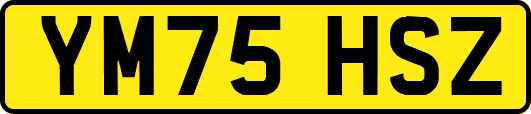 YM75HSZ
