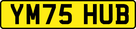YM75HUB