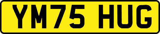 YM75HUG