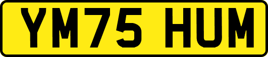 YM75HUM
